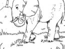 Coloriage Éléphant Dans La Nature Dessin Gratuit À Imprimer encequiconcerne Coloriage Animaux De La Savane
