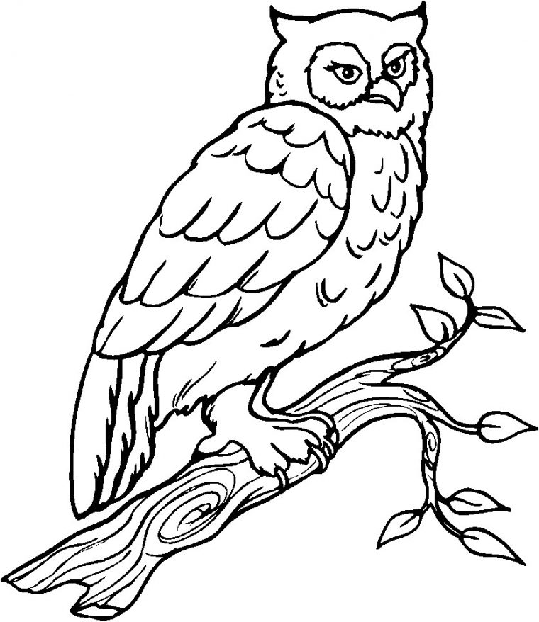 Coloriage En Ligne Oiseau Oiseaux 4 Coloriage D Oiseaux concernant Coloriage En Ligne Pour Enfant