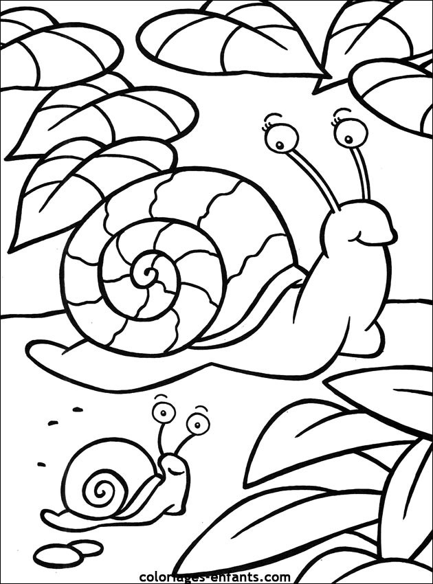 Coloriage Escargot Et Son Bébé Dessin Gratuit À Imprimer encequiconcerne Coloriage Herisson A Imprimer Gratuit