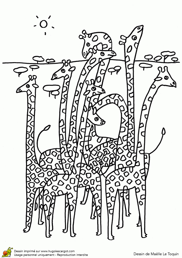 Coloriage Famille De Girafes Sur Hugolescargot intérieur Hugolescargot Coloriage