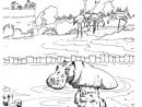 Coloriage Famille Hippopotame Dans L Eau - Animaux De La serapportantà Coloriage À L Eau