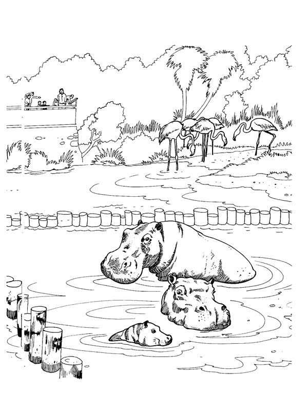 Coloriage Famille Hippopotame Dans L Eau – Animaux De La serapportantà Coloriage À L Eau