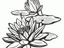 Coloriage Fleur De Lotus Sur L Eau Sur Hugolescargot encequiconcerne Dessin De Fleure