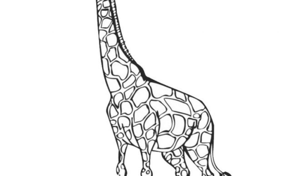 Coloriage Girafe A Imprimer Gratuit Dessin Facile Animaux concernant Coloriage Girafe A Imprimer Gratuit