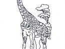 Coloriage Girafe Dans La Savane Dessin Gratuit À Imprimer destiné Dessin Girafe Simple