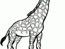 Coloriage Girafe Et Girafon encequiconcerne Coloriage Girafe A Imprimer Gratuit