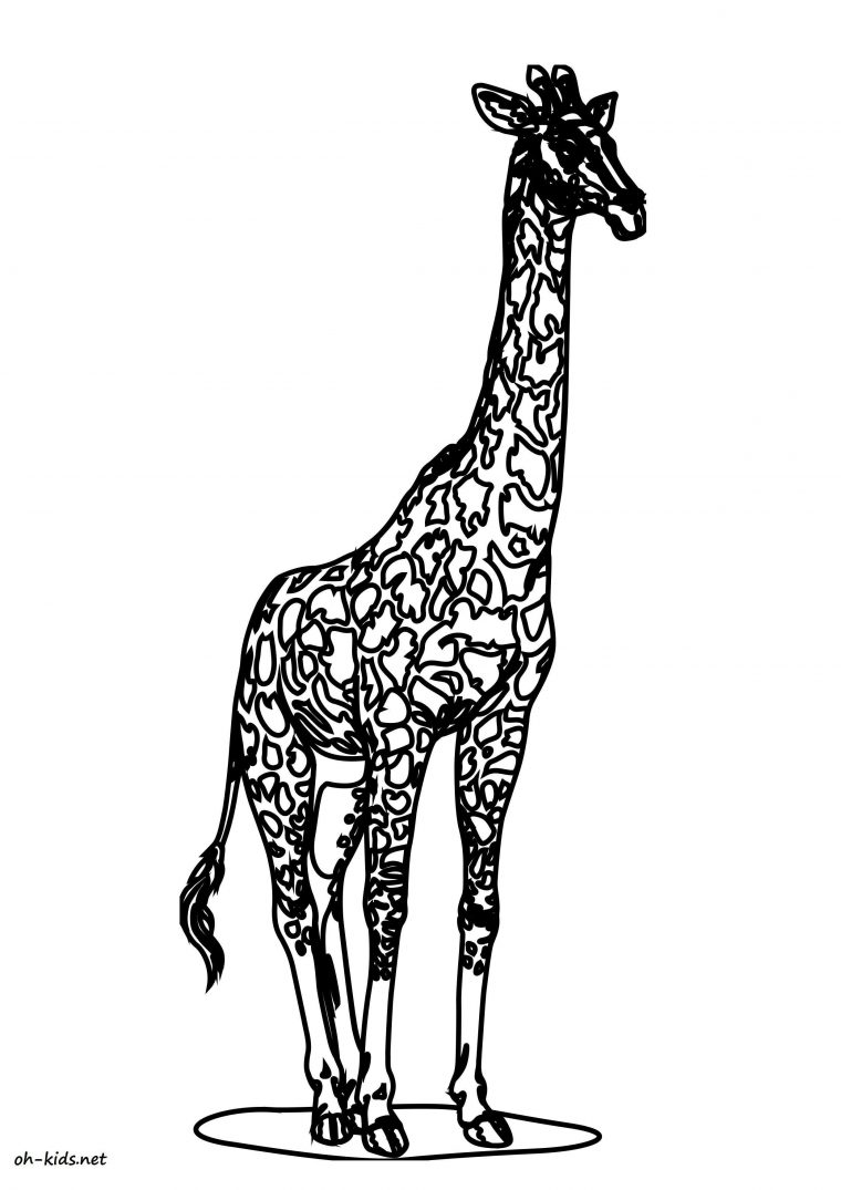 Coloriage Girafe – Oh Kids Fr dedans Coloriage Girafe A Imprimer Gratuit