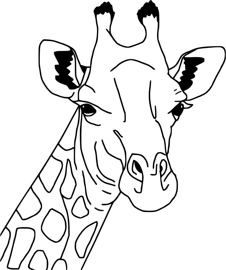 Coloriage Girafe Simple serapportantà Dessin Girafe Simple