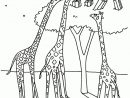 Coloriage Girafe Sur Hugolescargot serapportantà Hugolescargot Coloriage