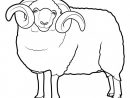 Coloriage Gros Mouton Dessin Gratuit À Imprimer intérieur Dessin Mouton Rigolo