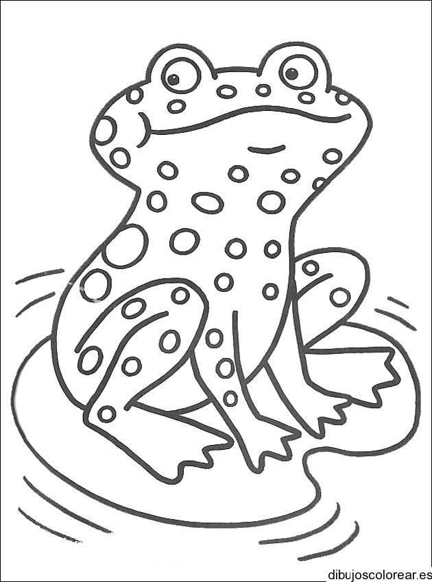 Coloriage Grosse Grenouille Sur Nénuphar Dessin Gratuit À intérieur Coloriage De Perroquet A Imprimer Gratuit
