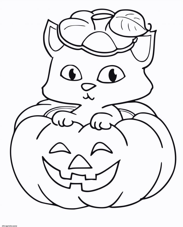 Coloriage Halloween A Imprimer Citrouille Unique Coloriage concernant Dessin Citrouille A Imprimer