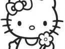 Coloriage Hello Kitty Et Pucca - Ancenscp dedans Coloriage Pucca
