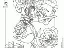 Coloriage La Fée Des Fleurs La Rose à Coloriage De Fée A Imprimer
