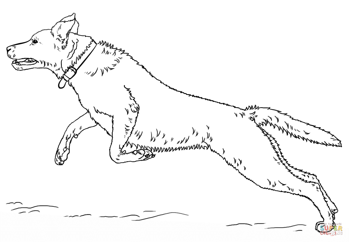 Coloriage - Labrador Retriever Sautant | Coloriages À concernant Dessin