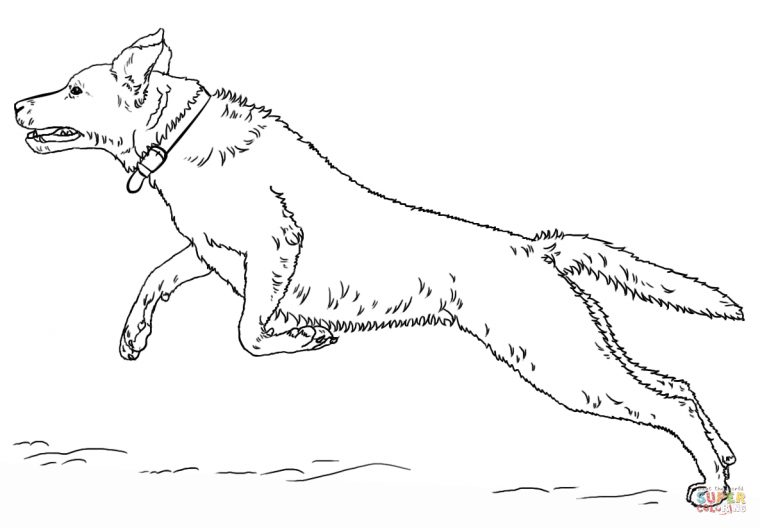 Coloriage – Labrador Retriever Sautant | Coloriages À encequiconcerne Coloriage Labrador A Imprimer