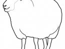 Coloriage Le Mouton Bêle Dessin Gratuit À Imprimer encequiconcerne Dessin Mouton Rigolo
