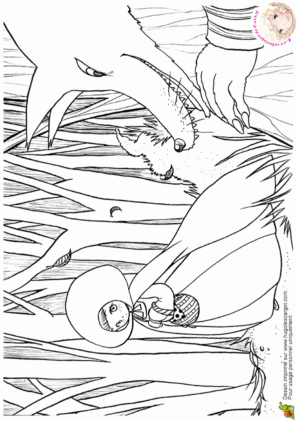 Coloriage Le Petit Chaperon Rouge Sur Hugolescargot pour Dessin Forêt À Imprimer