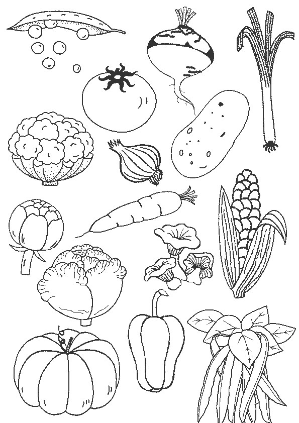 Coloriage Légumes En Couleur Dessin Gratuit À Imprimer encequiconcerne Coloriage Fruits Et Legumes