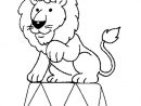Coloriage Lion Cirque En Ligne Gratuit À Imprimer encequiconcerne Dessin Animaux Elephant De Cirque