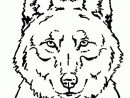 Coloriage Loup Portrait Sur Hugolescargot concernant Loup Dessin Facile