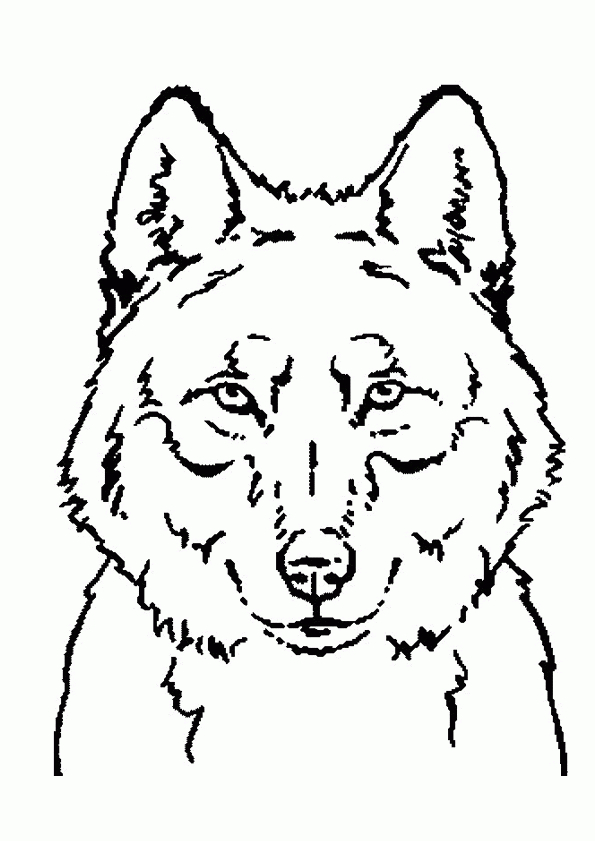 Coloriage Loup Portrait Sur Hugolescargot concernant Loup Dessin Facile