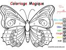 Coloriage Magique : Un Papillon | Coloriage Papillon destiné Papillon Dessin Facile