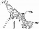 Coloriage Mandala Animaux Génial Luxury Coloriage Mandala avec Coloriage Girafe A Imprimer Gratuit