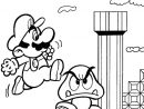 Coloriage Mario Personnage Champignon Dessin Gratuit À à Dessin De Champignons A Imprimer