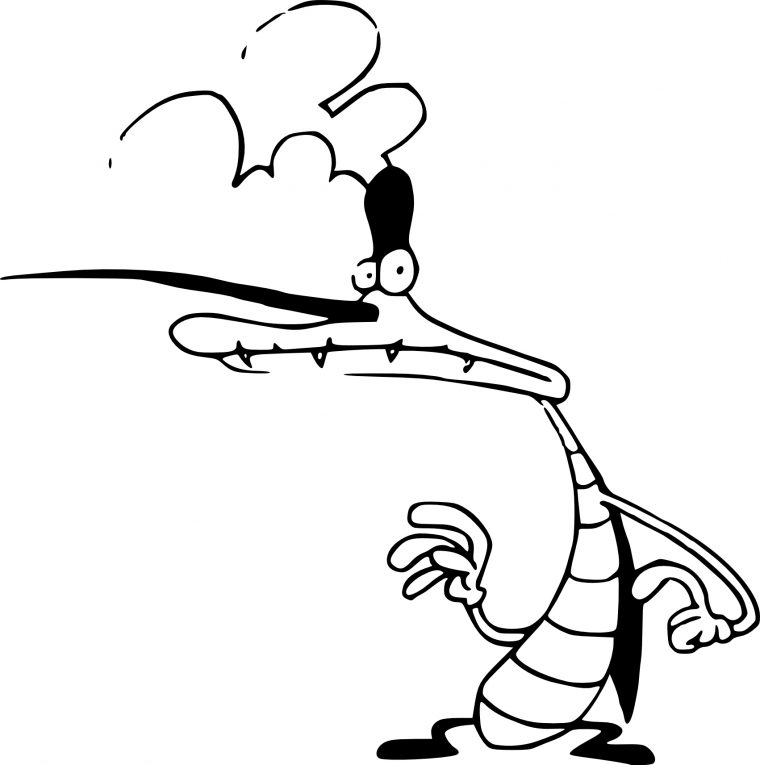 Coloriage Marky Oggy Et Les Cafards À Imprimer tout Coloriages Oggy Et Les Cafards A Imprimer