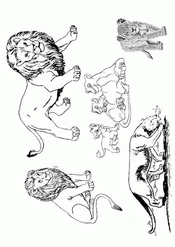 Coloriage Masque Lion Imprimer tout Lion A Colorier Coloriage Masque Lion Imprimer tout Lion A Colorier