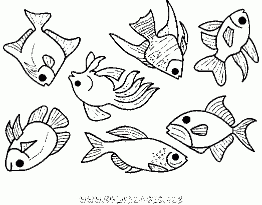 Coloriage Mer Et Poissons Gratuit 8381 – Animaux concernant Coloriage Animaux De La Mer A Imprimer