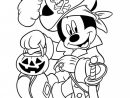Coloriage Mickey Mouse Et La Citrouille D'Halloween avec Dessin A Colorier Halloween Gratuit