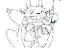 Coloriage Mon Voisin Totoro | Danieguto destiné Coloriage Totoro A Imprimer