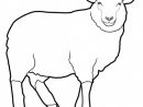 Coloriage Mouton Vecteur Dessin Gratuit À Imprimer destiné Coloriage Mouton À Imprimer
