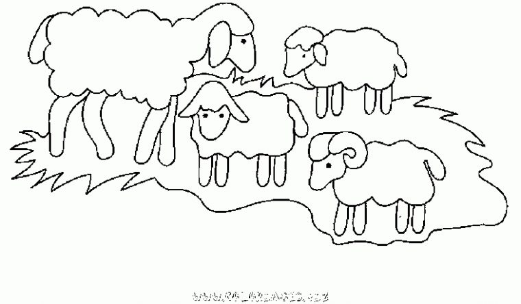 Coloriage Moutons Gratuit 8738 – Animaux avec Coloriage Mouton À Imprimer