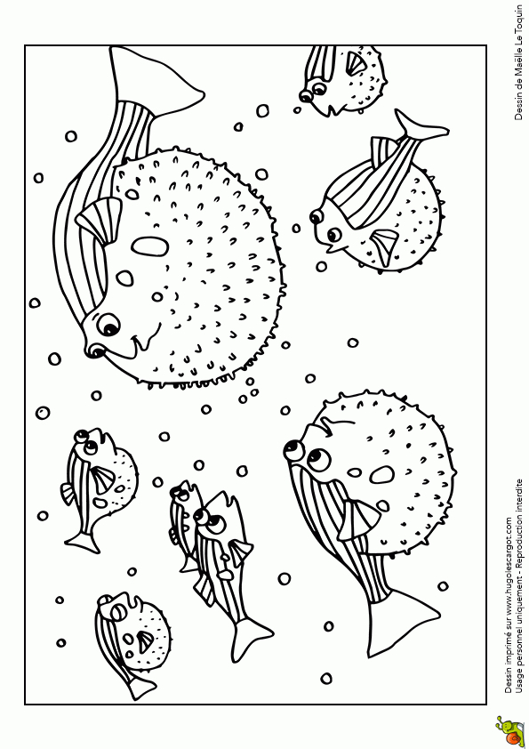 Coloriage Multicolore D’un Poisson-Globe serapportantà Coloriage Poisson