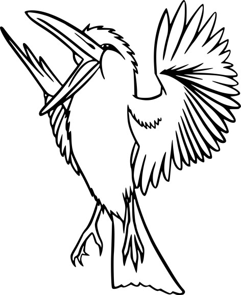 Coloriage Oiseau Exotique À Imprimer avec Coloriage De Perroquet A Imprimer Gratuit