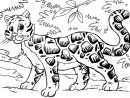 Coloriage Panthère Nébuleuse - Coloriages Gratuits À Imprimer destiné Coloriage Panthere