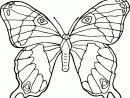 Coloriage Papillon : Des Photos Du Papillon À Imprimer Et tout Dessin Papillon À Découper