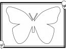 Coloriage Papillon destiné Coloriage De Papillon A Imprimer Gratuit