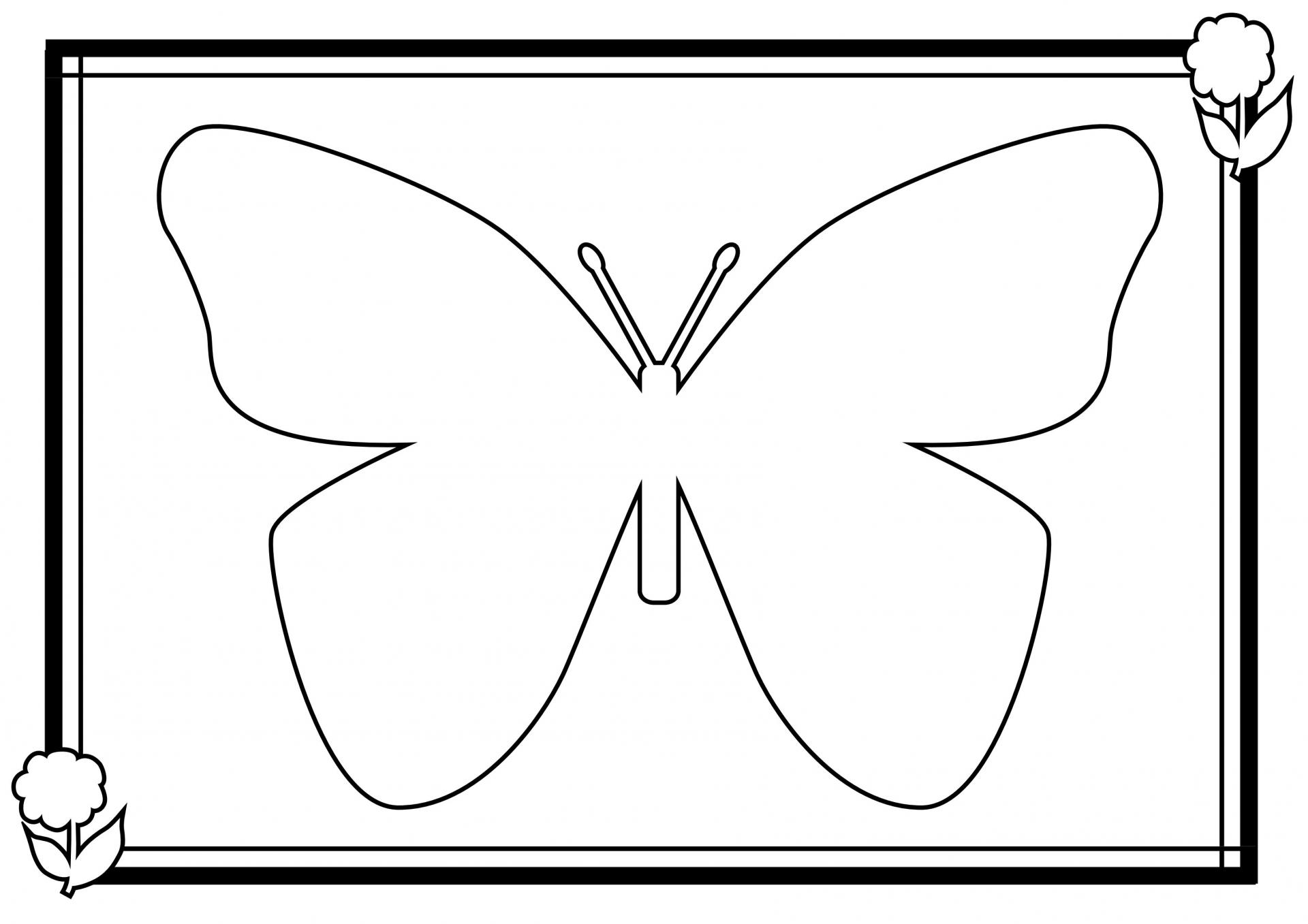 Coloriage Papillon destiné Coloriage De Papillon A Imprimer Gratuit