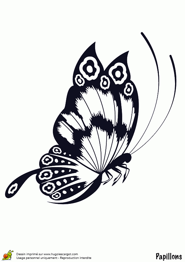 Coloriage Papillon En Vol Sur Hugolescargot pour Dessin Papillon À Découper