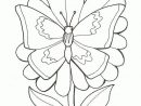 Coloriage Papillon Fleur 2 Sur Hugolescargot encequiconcerne Papillon Dessin Facile