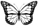 Coloriage Papillon - Les Beaux Dessins De Animaux À serapportantà Dessin Papillon À Découper