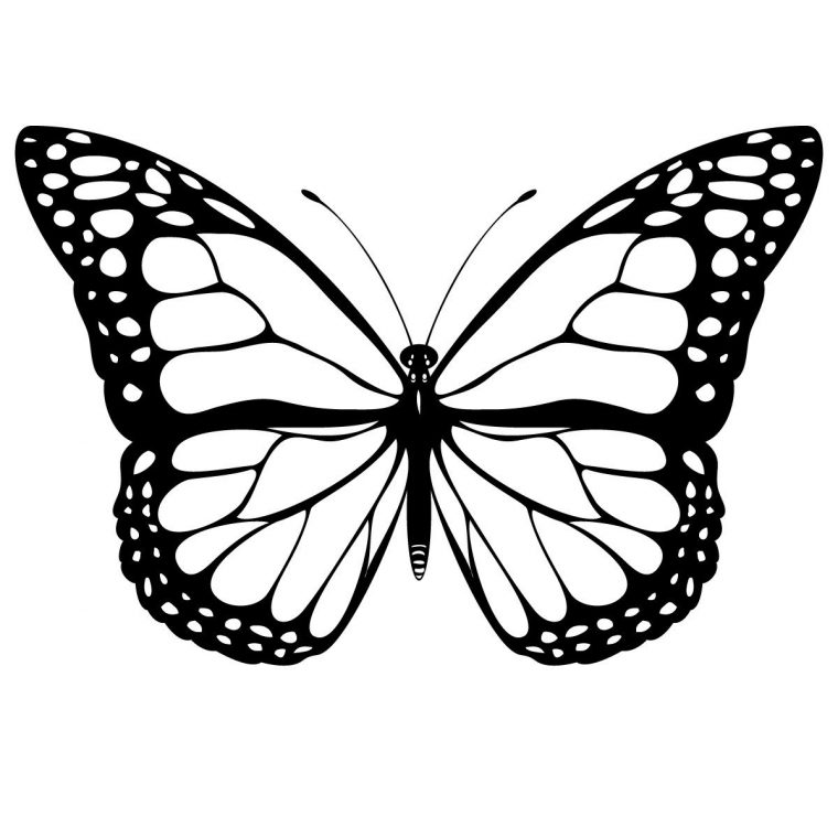 Coloriage Papillon – Les Beaux Dessins De Animaux À serapportantà Dessin Papillon À Découper