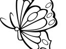 Coloriage Papillon Vecteur Dessin Gratuit À Imprimer tout Coloriage De Papillon A Imprimer Gratuit