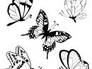 Coloriage Papillons - Facile encequiconcerne Coloriage Papillon