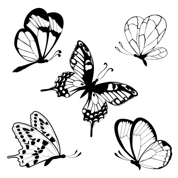 Coloriage Papillons – Facile encequiconcerne Coloriage Papillon