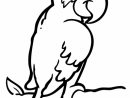 Coloriage Petit Perroquet Avec Un Regard Malicieux À Imprimer concernant Coloriage De Perroquet A Imprimer Gratuit